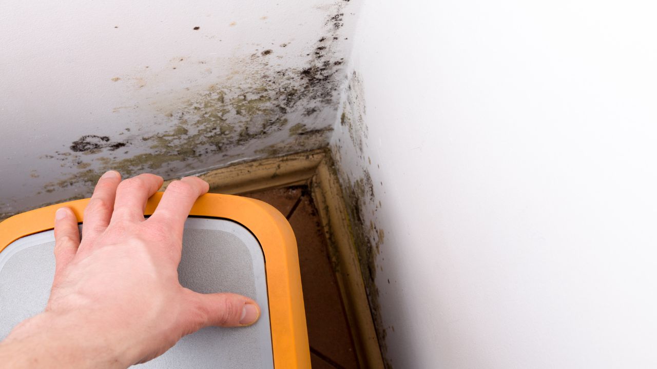 Bathroom Water Damage Restoration Near Me